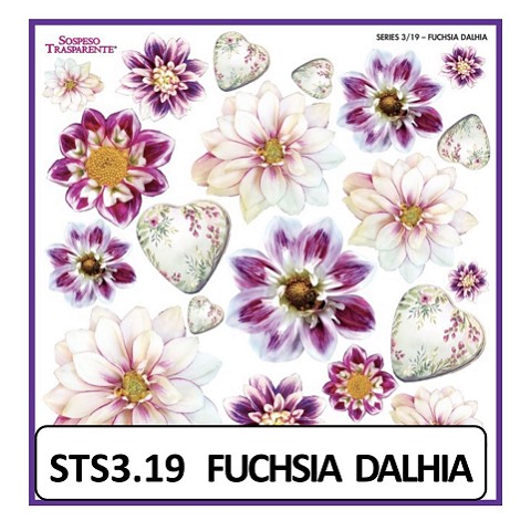 Fuchsia Dalhia Sospeso Trasparente