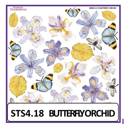 Butterfly Orchid Sospeso Trasparente 4-18