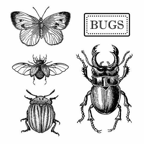 Timbri H.D.Bugs