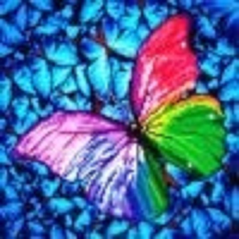 Diamond Art Farfalla Multicolore