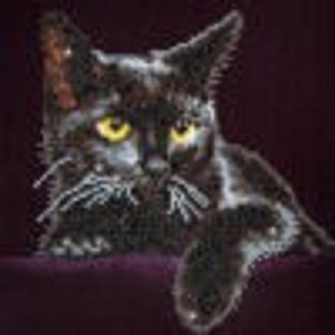Diamond Art Midnight Cat